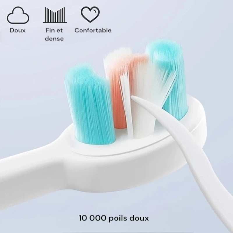 Brosse à dents animaux